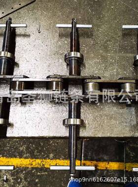 热销悬挂输送链涂装流水线十字链条汽车轮毂链线铝材型式XLW涂立