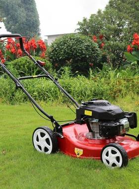 新型汽油手款FQB草坪推式花草修剪机草农机用果园杂割草机