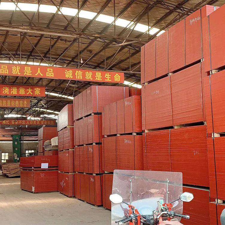 竹胶建筑竹板板施工房建工用模板地双面XUM覆膜光滑平整好脱模