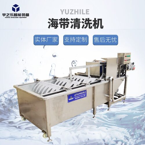 蔬菜清洗机海带清洗设备高压喷淋全自动气泡清洗机果蔬气泡清洗机