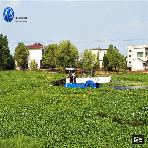 厂家大型水面垃圾水草打捞船 水库水面清漂船 机械化捞草船