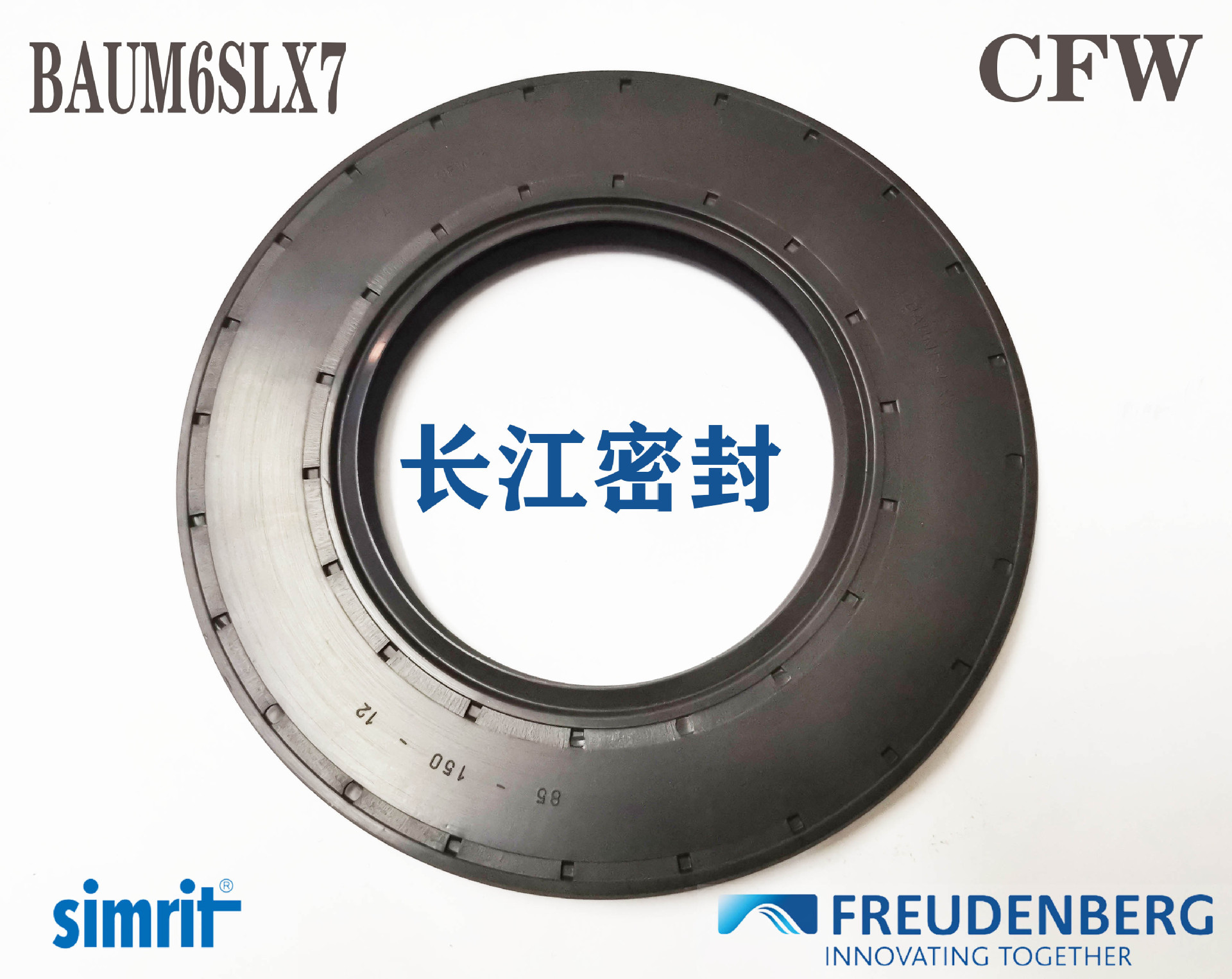 CFW德国进口耐高温骨架油封