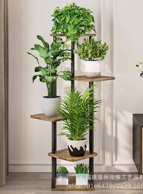 室内植物支架5层花高多层植物室内盆栽适合客厅园露架台花DYR盆架
