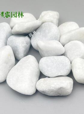 鱼垫层11664室内展台缸白石园林铺鹅路点缀铺机制白石盆栽面白色