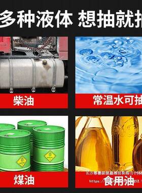 电动油泵1120V24V22V自伏吸泵泵两用抽抽水泵抽油器家用加油机