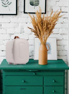 新色款4L19908多家用迷你冰冷箱暖用低功率宿舍小冰箱两便携式车