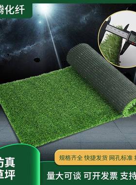 仿真草坪幼儿园铺地家用装饰人造草足球场假草户外地毯假草坪