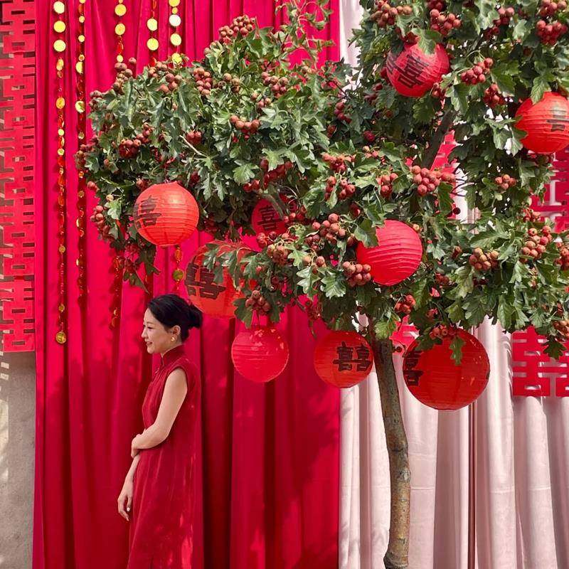 农字村结婚户LMS外喜灯笼挂件院子面装饰婚房布置上红灯外笼挂树