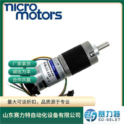 意大利MICRO MOTORS微型直流电机BL192-49