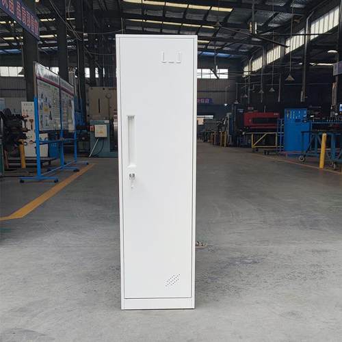 兆屏ZX-BG01风更侧柜桌边矮柜钢制小衣柜固定柜柜支信撑办公桌边