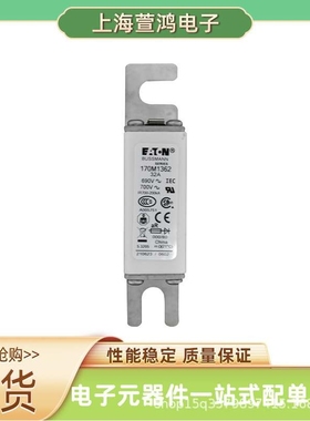 170M3172 170M3173 170M3188 170M3189 原装 高压熔断器电流保护