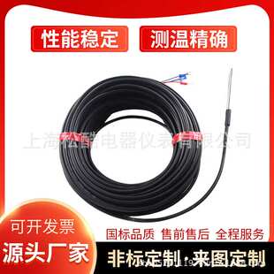 PT100温度传感器探头高精度热电偶防水防腐WZP进口贺利氏铂热电阻