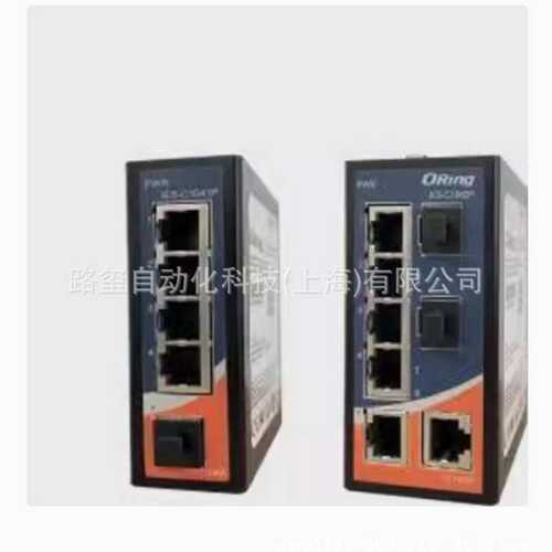 ORING IES-C1041P