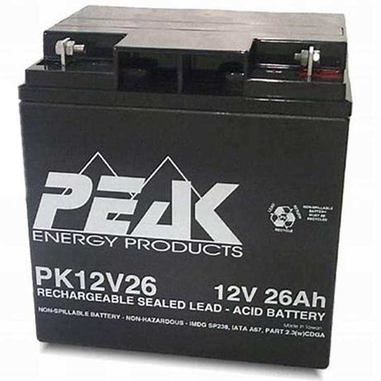 包邮法国PEAK蓄电池PK12V26 续航强劲工匠型 EPS直流屏不间断电源