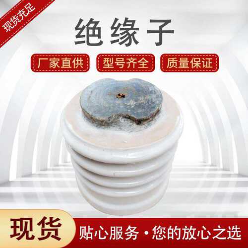 电站用户内支柱绝缘子 母排支撑绝缘子ZN-10/16