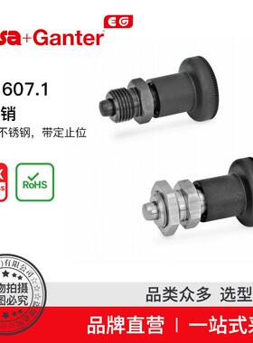 Elesa Ganter伊莉莎冈特 GN 607.1 分度销 不锈钢 带定止位