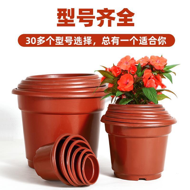 盆红色圆反边处理种植AB型育苗花盆月季花塑料基地盆