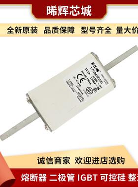 优惠 170M3461 170M3462现货 低压快速熔断器型号齐全 标准封装