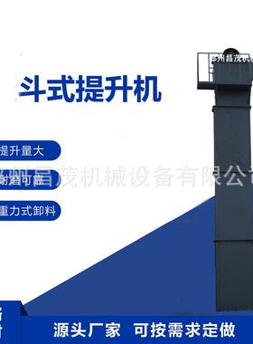 TH200环链斗式提升机料斗 粮食饲料斗提机设备提升机配件上轮昌茂