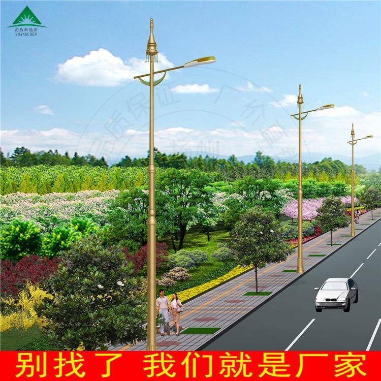 LED路灯 双臂市电路灯 生产厂家 7米8米9米10米 可来图来样制作