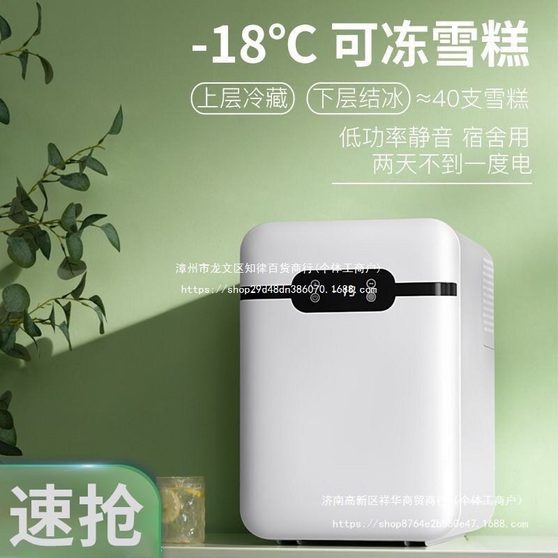 压缩机车载迷你小冰箱小型宿舍单人家用租房用学生寝室面膜可冷冻