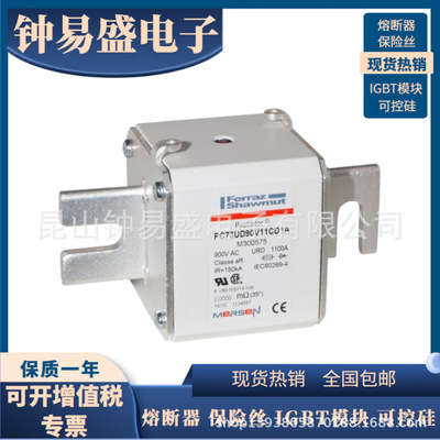 法国美尔森A100UD73TTI1250罗兰熔断器 A090UD73TTI1400  N301059