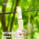 旅行晾衣绳定位夹子便携式 女生内衣裤 晾晒夹多功能家用迷你袜夹