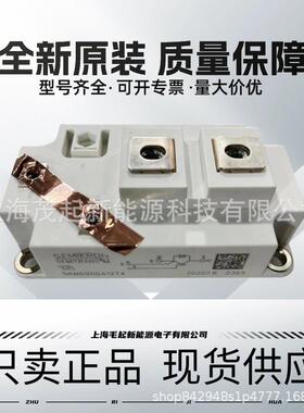 SKM600GA12T4 SKM400GA12T4 SKM300GA12E4 SKM300GM12T4 SKM200GM