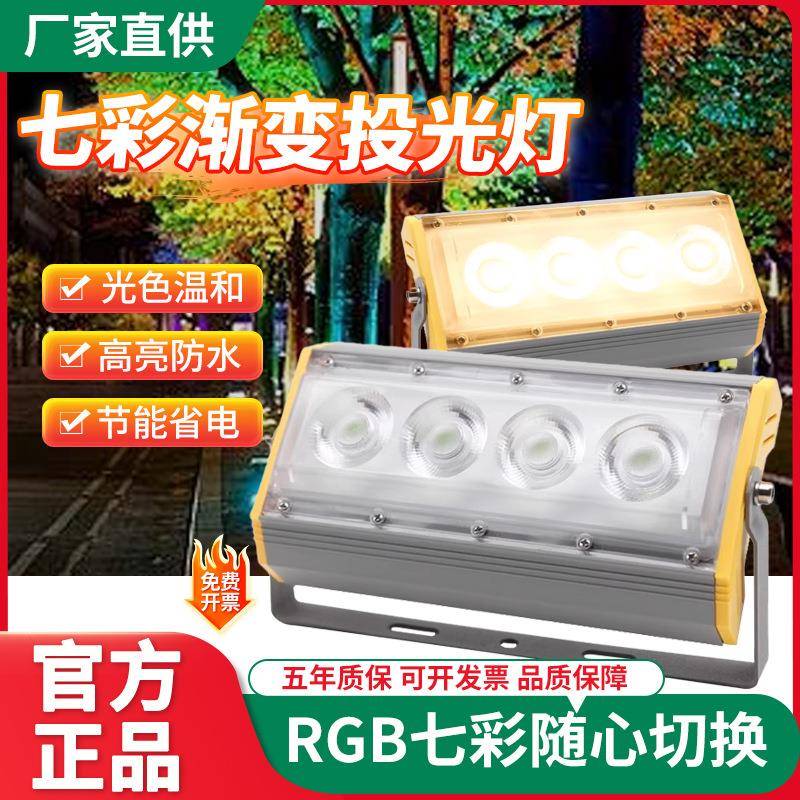 户外彩色射灯led七彩变光舞台墙体照树灯景观草坪单色聚光投光灯
