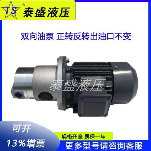 双向摆线齿轮油泵电机LB-BB10/6/4减速机循环润滑BBS-16/25三相20