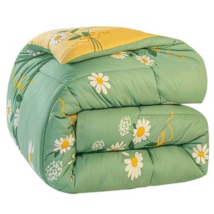 被子冬被冬天加厚保暖学生宿舍单人秋冬棉被春被太空被芯四季通用