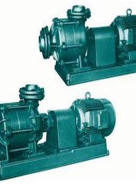 德国EDUR离心泵 真空泵 溶气泵EB15U