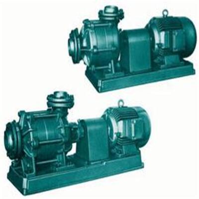 德国EDUR离心泵 真空泵 溶气泵EB15U