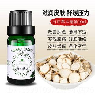 高档白芷方油萃10ml超临界草本植物取肌肤芳疗按精摩护肤刮痧单包