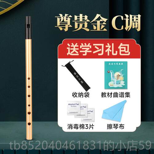 高档爱尔兰笛C调D调初学笛子儿童成人专业演哨奏竖笛金属直笛六孔