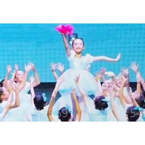 高档新款风小荷采衣丢儿手绢舞蹈演出服童女童纱纱裙蓬蓬纱裙演出