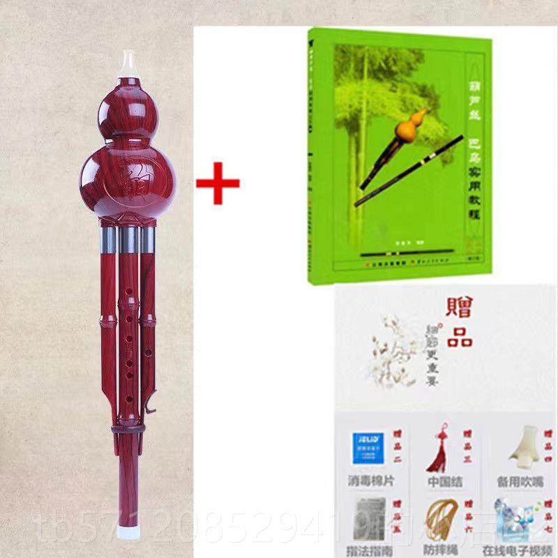 新款芦c调降b调小学丝生专用初学者成葫人儿演奏型童专业民族乐器