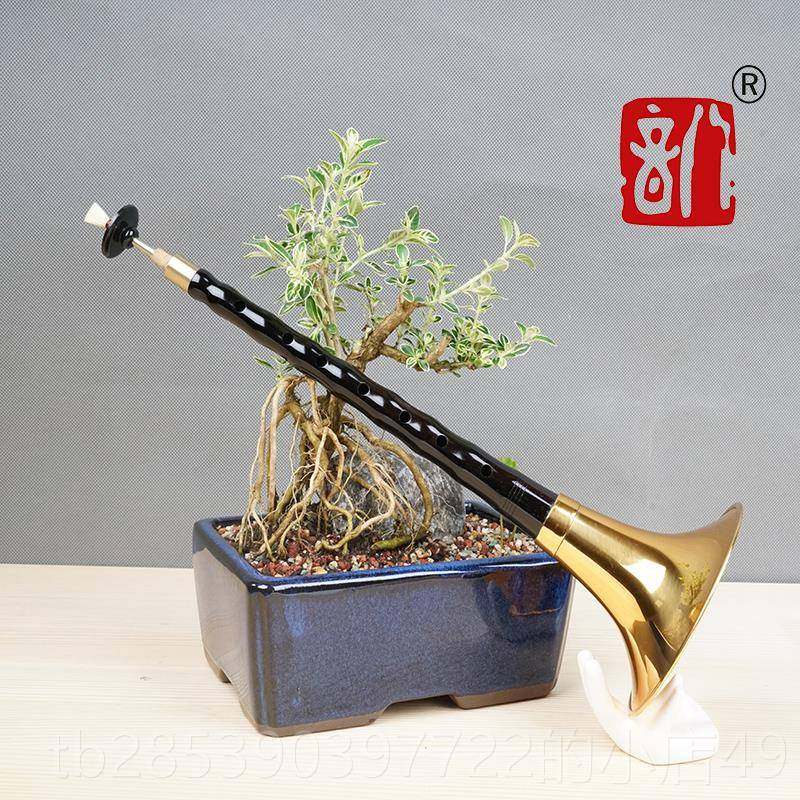 新款八唢初学者专业乐器呐全调套乌音木黑檀D降B红木喇叭吹服务紫