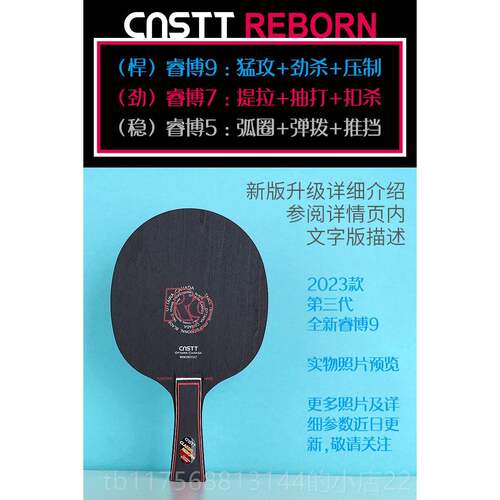 正品CnsTT凯斯汀业乒乓球拍睿底板胶皮9高级博兵乓球拍乒乓专拍套