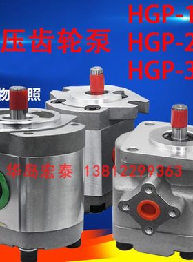 HGP-3A-F25R F19R 17R 28R 30R 23R 8R 11R 13R 14R 齿轮泵油泵