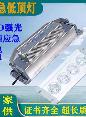 NFC9121LED低顶灯船用蓬顶灯LED地沟灯月台隧道投光灯NFE9121应急