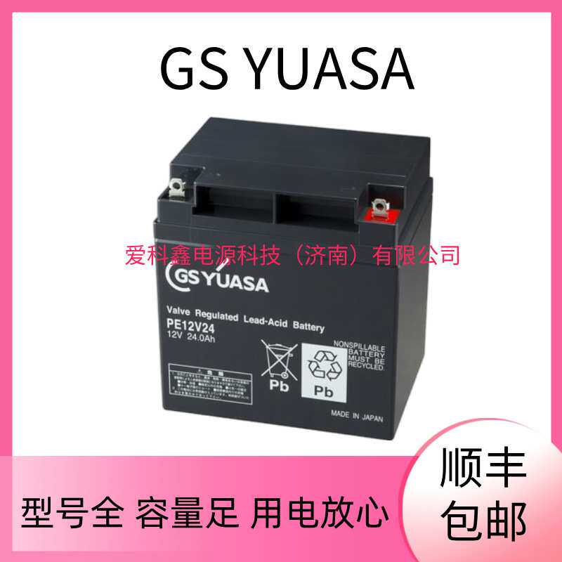 GSYUASA蓄电池 PE12V24 UPS直流屏免维护铅酸电池 12V24AH - 实物图