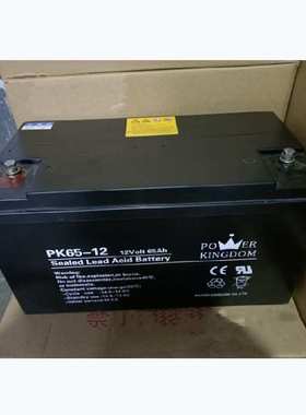 POERKINGDOM三力豫光蓄电池12V65AH/PK65-12直流屏 基站 储能电源