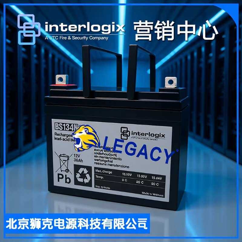 INTERLOGIX蓄电池 BS134N 12V36AH 免维护 铅酸蓄电池