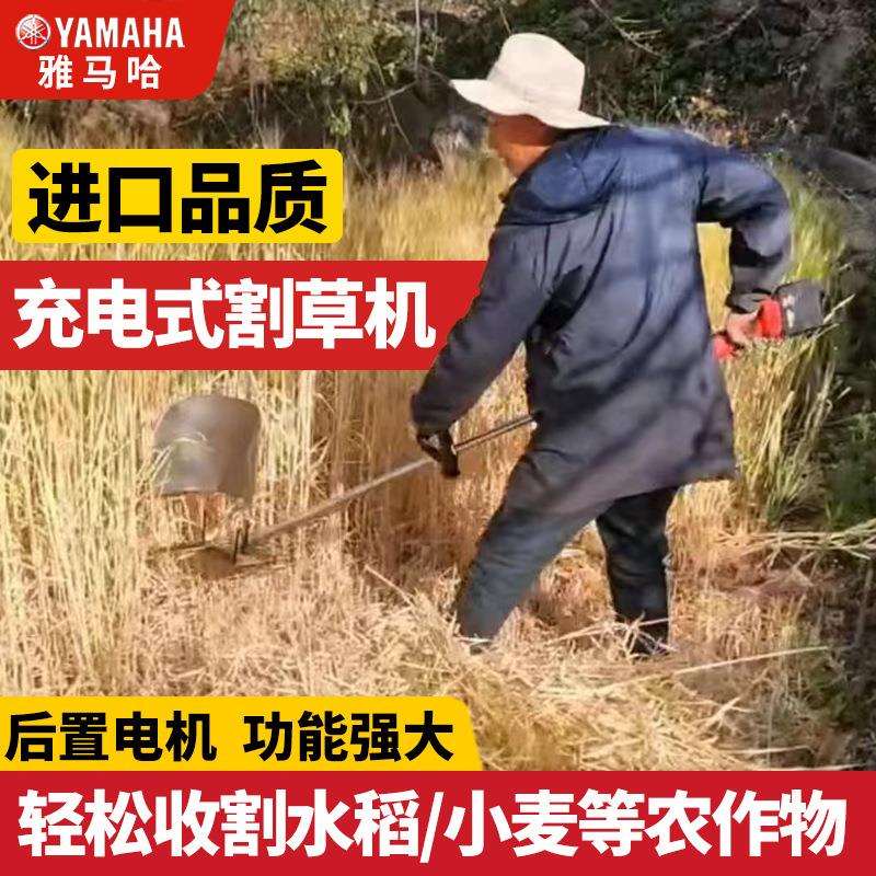 无刷电动割草机充电式小型家用草坪机多功能农用收割果园除草机