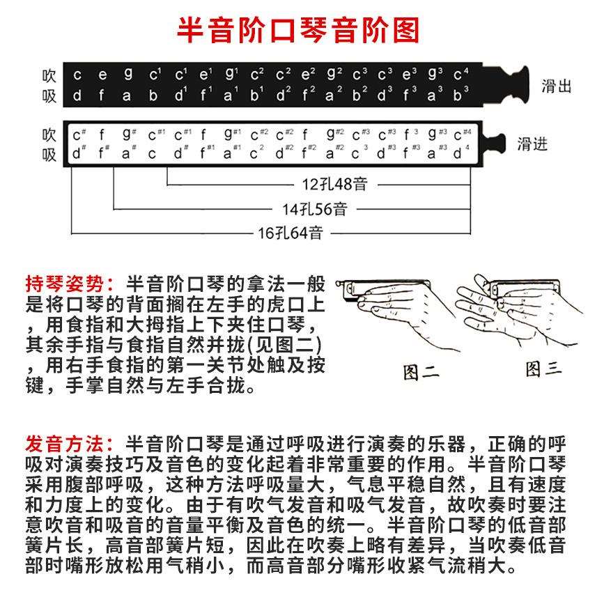 孔声天琴座半音阶口琴12孔48音金属琴格新手成人初学专业演奏乐器图片