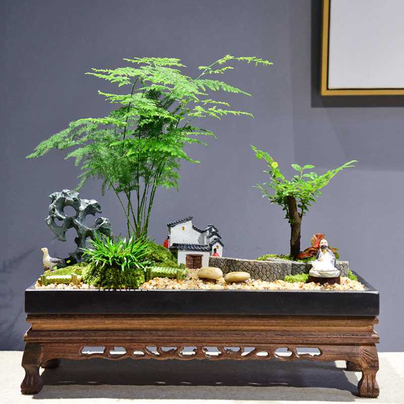 文竹盆栽室内禅意绿植山水盆景苔藓微景观植物办公室茶室观叶盆景