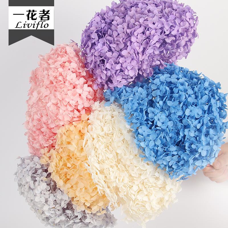 花者DIY客厅餐桌装饰摆件永生花花材单支小叶安娜绣球永生花艺