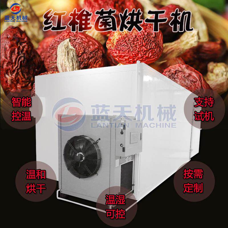 红椎菌烘干机 空气能热泵红菇干燥设备 红蘑菇大朱菇大红菌烘干房