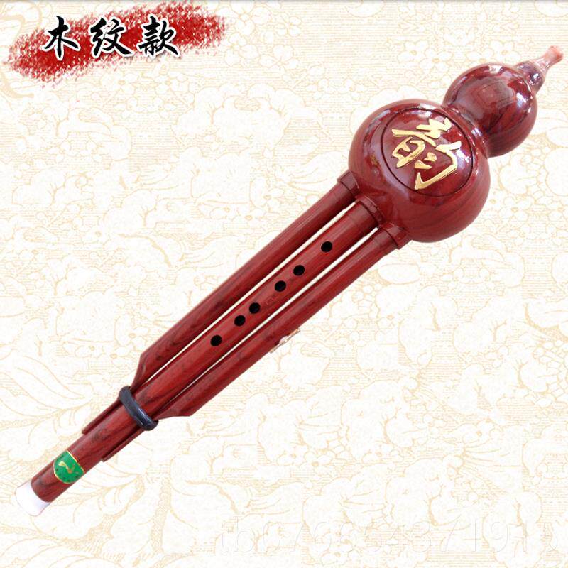 正品双音葫芦丝乐器c调降b调f奏g调人儿小学成生童新手入门初学演